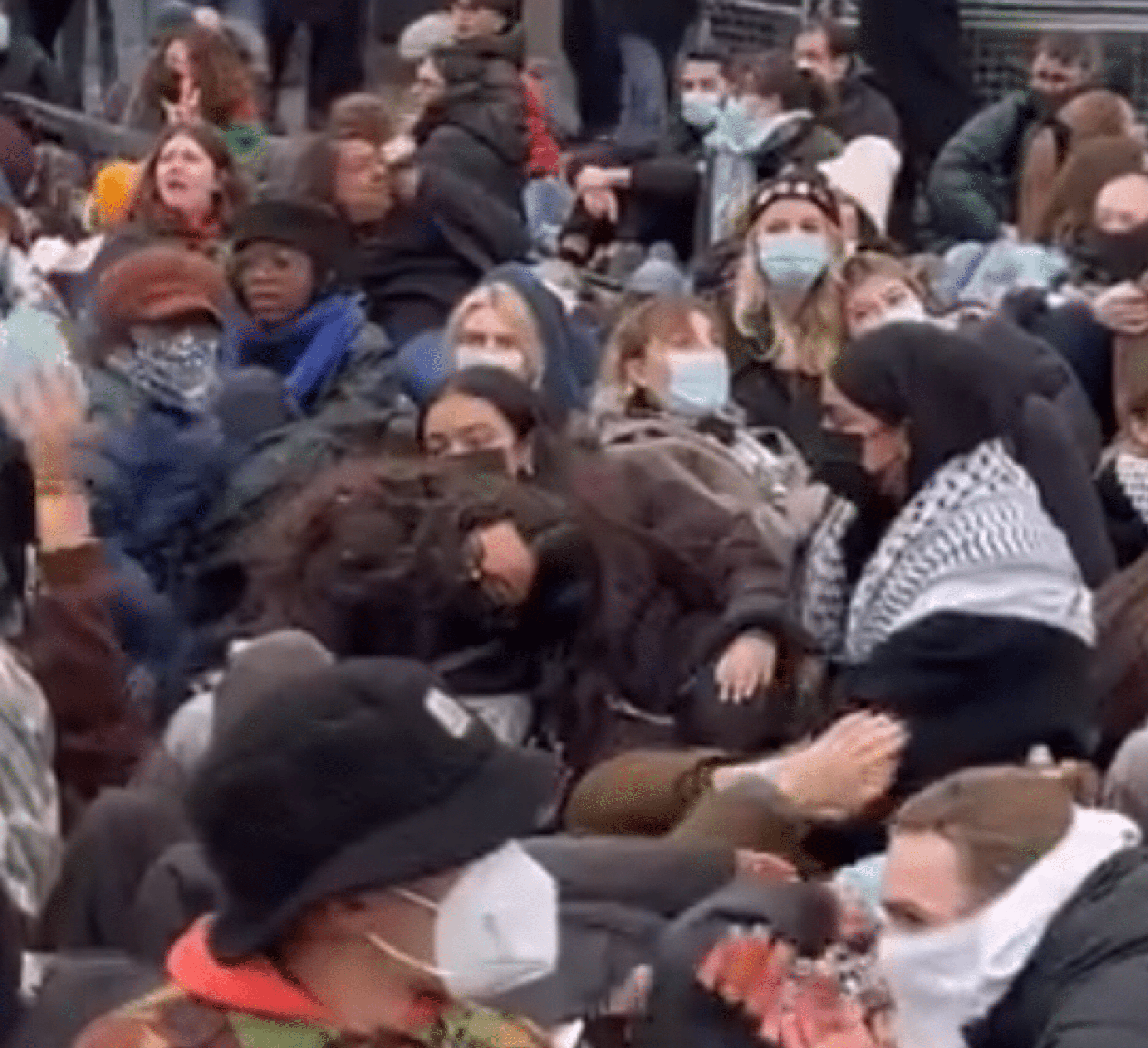 Pro-Palestine Protesters Stage Sit-In at Westminster Bridge in Renewed Call for Ceasefire