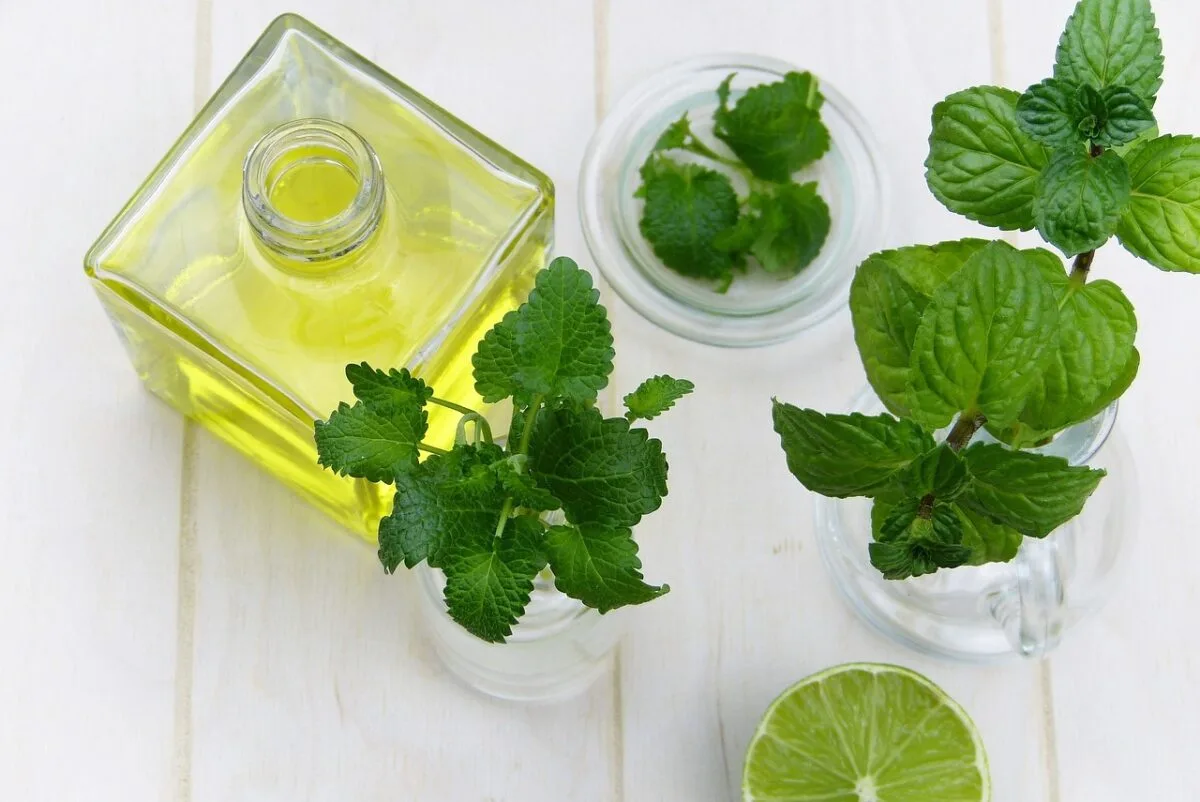 Can THC Oil Contribute To A Balanced And Holistic Wellness Lifestyle?