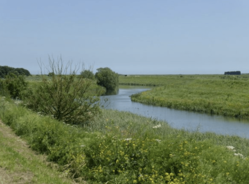 Police are appealing for witnesses following a fatal collision where two people have sadly died in Tetney Lock