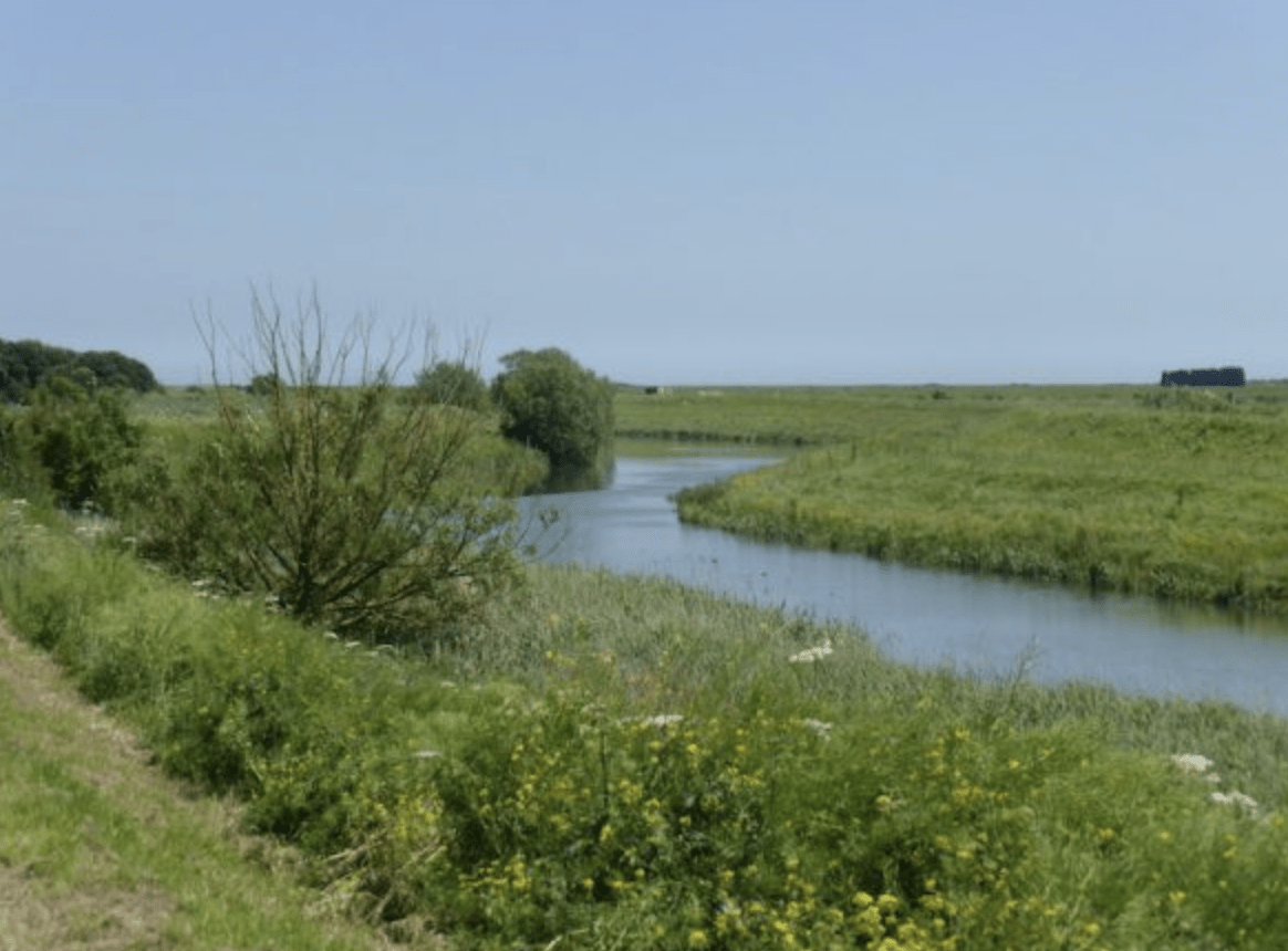 Police are appealing for witnesses following a fatal collision where two people have sadly died in Tetney Lock