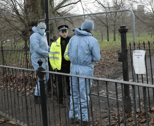 Teen, 16, Fatally Stabbed in Primrose Hill as Camden Faces Deadly Crime Spree