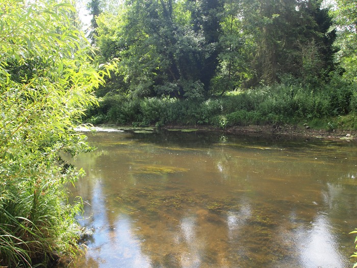 Woman’s Body Found in Water Near Thetford