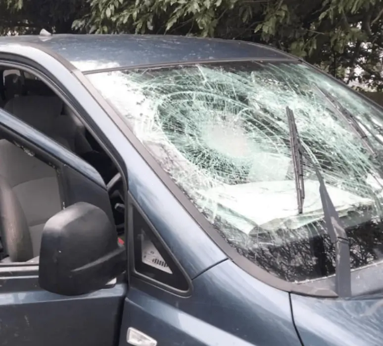 Hunt Saboteurs Ambushed in Violent Attack in Herstmonceux East Sussex on New Year’s Day