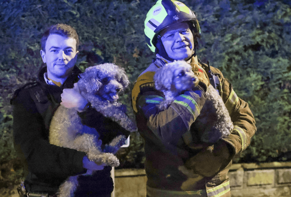Joint Rescue Operation by Met Police and London Fire Brigade Saves Lives and Two Dogs in Orpington Blaze