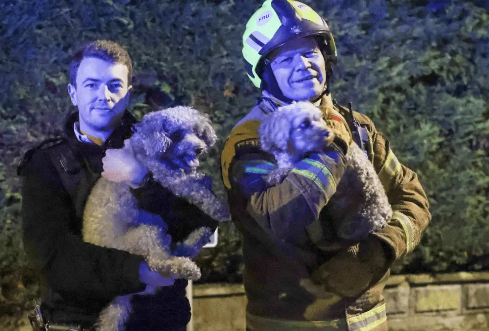 Orpington Blaze Heroics: Police and Firefighters Rescue Residents and Dogs in Early Morning Fire