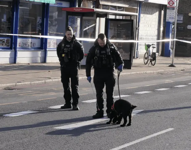 First Pictures: Metropolitan Police Launch Murder Investigation Following Death in South East London