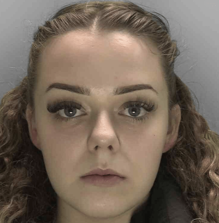 A border officer who shared sensitive intelligence documents with incarcerated criminals has been given a suspended jail sentence