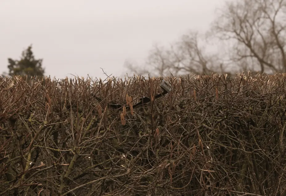 Grandmother Describes a scene of Carnage as 50 Emergency workers battled to save two dog walkers hit in Kent