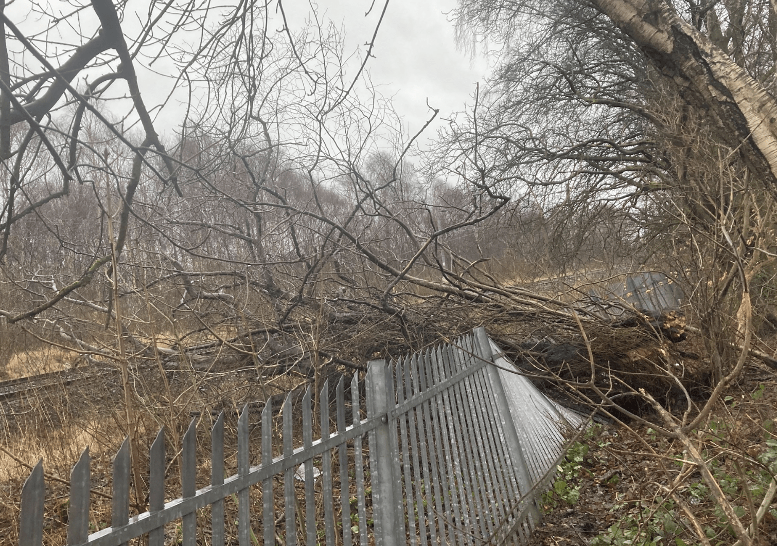 ScotRail Warns of Network Shutdown Amidst Storm Isha & Jocelyn