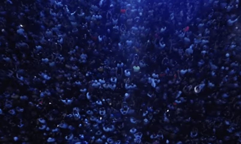 Crowded concert audience under blue lights.