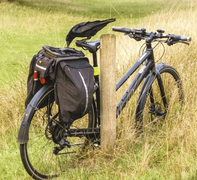 Police & Community Reunite Woman with Stolen Bicycle