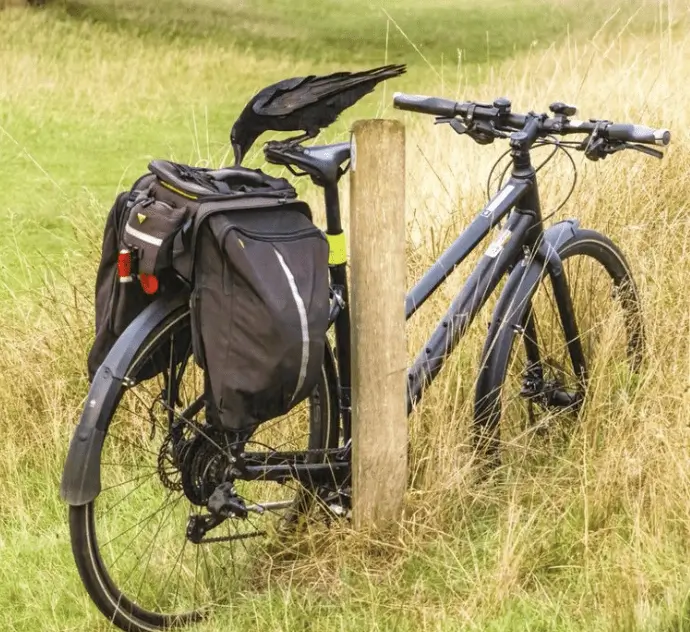Met Police and Friends Reunite Sue with Stolen Bike in Community Victory