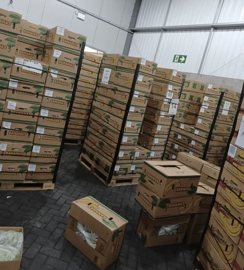 £10M Cocaine Stash Hidden in Banana Boxes Busted at Portsmouth – Three Arrested in Acton Drug Front Raid