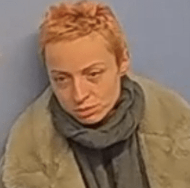 Urgent Appeal to Locate Missing Swindon Woman, Anca Bulencea