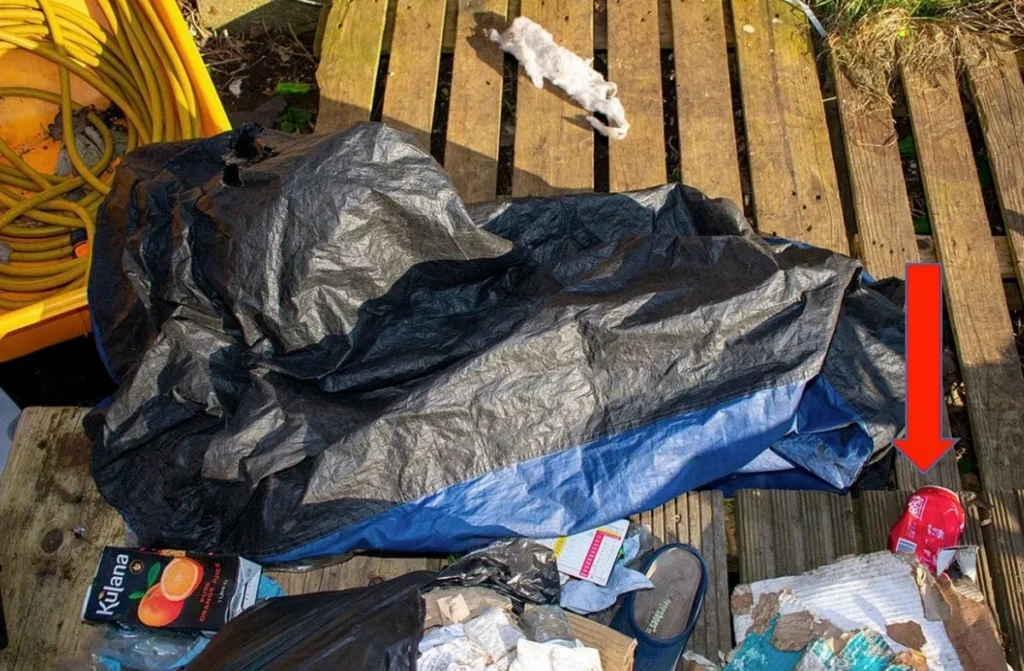 Couple Accused In Baby Victoria's Death: Mark Gordon Allegedly Advised Partner To Lie About Cause Of Death Couple Accused in Baby Victoria’s Death: Mark Gordon Allegedly Advised Partner to Lie About Cause of Death