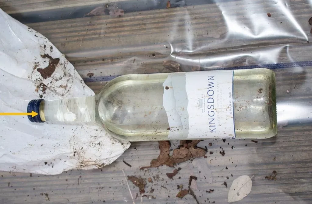 Couple Accused In Baby Victoria's Death: Mark Gordon Allegedly Advised Partner To Lie About Cause Of Death Couple Accused in Baby Victoria’s Death: Mark Gordon Allegedly Advised Partner to Lie About Cause of Death