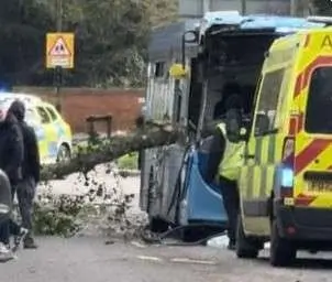 Storm Havoc in Horsham: Uprooted Tree Smashes Into Van and Bus, Six Injured