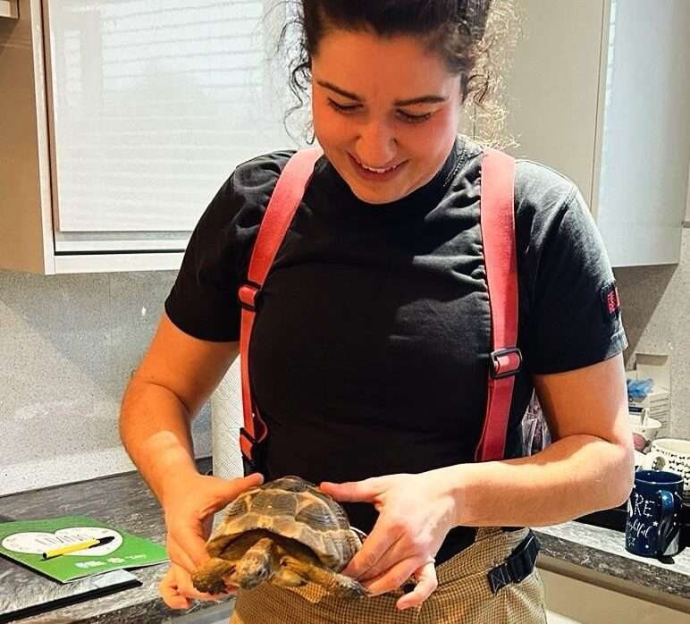 Shell-shocked but Safe: Tortoise Rescued from Fiery Situation