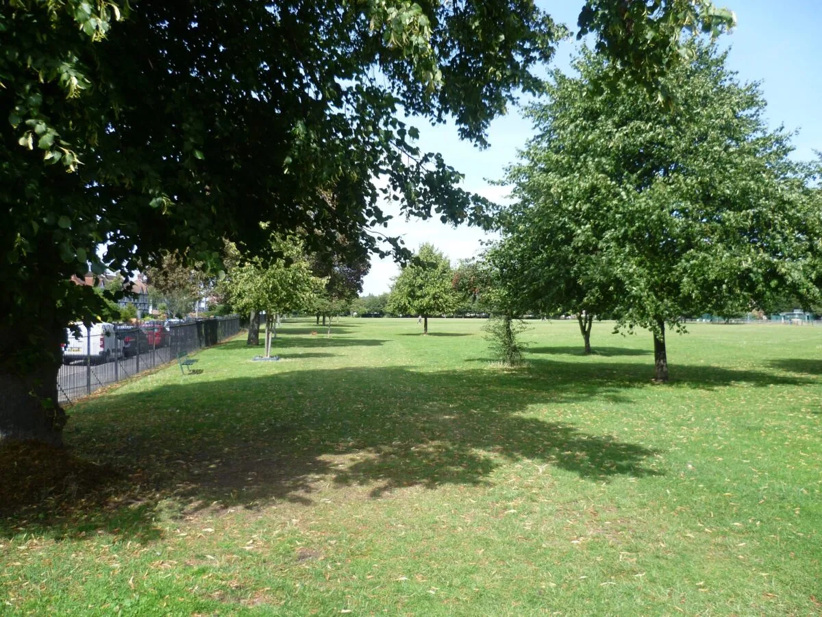 Kingston Park Horror: Unleashed XL Bully Dog Attacks Children – Owner on the Run