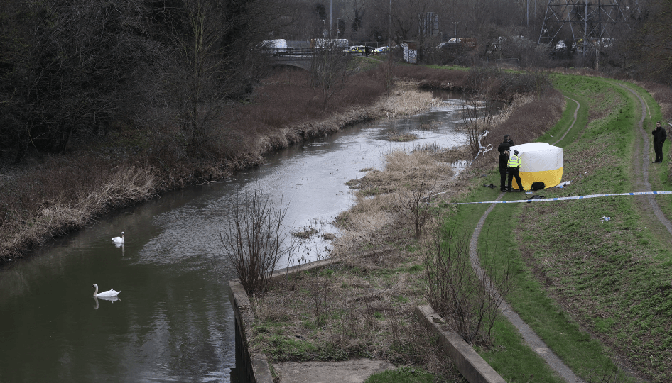 Swans on river by crime scene with police activity