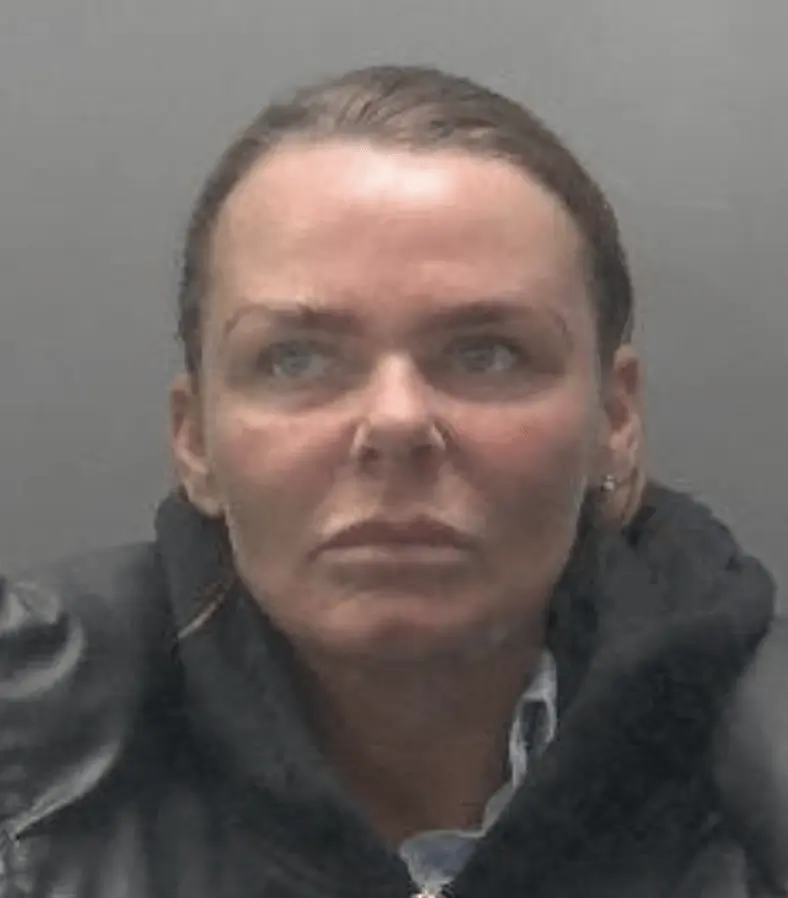 Drunk Driver Vet Ploughs Over Toddler on One-Way Street in Cambridge – Jailed for 20 Months