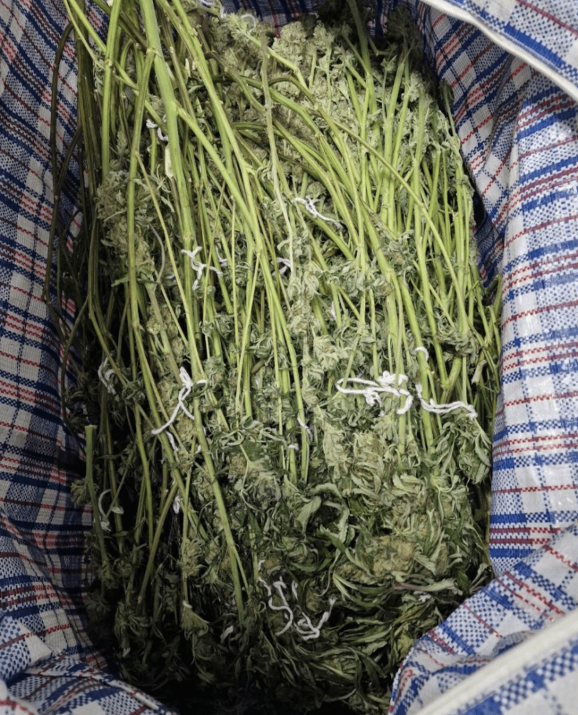 Police Seize Significant Haul of Drugs and Cash in Ham Raid, Four Arrested