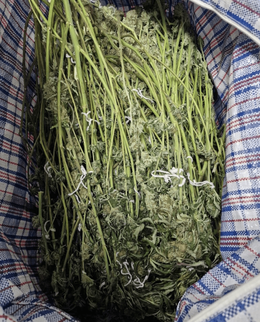 Police Seize Significant Haul of Drugs and Cash in Ham Raid, Four Arrested