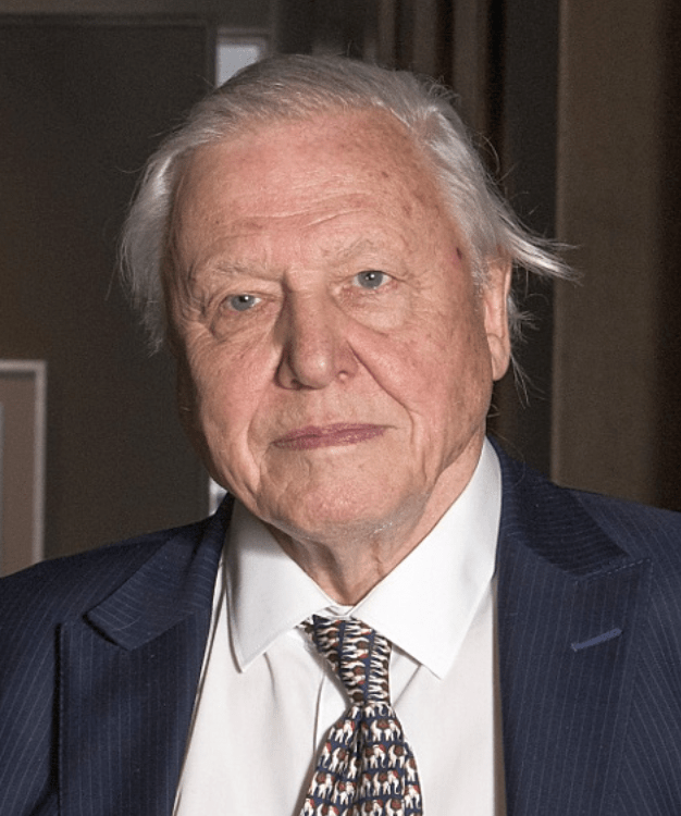 Sir David Attenborough Returns as the Star of BBC Studios Natural History Unit’s ‘Mammals’