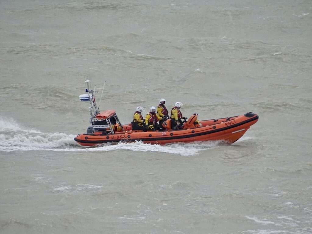 Brighton RNLI Rescues Dogs and Discovers Seal during Operation