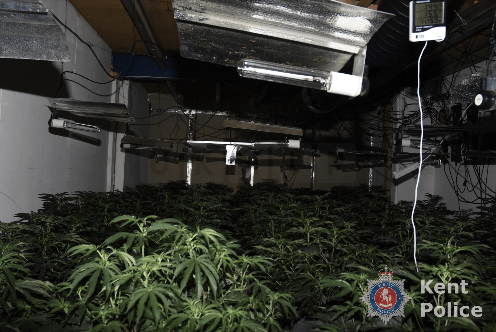 Police Seize 300 Cannabis Plants After Fire at Industrial Site in Ashford