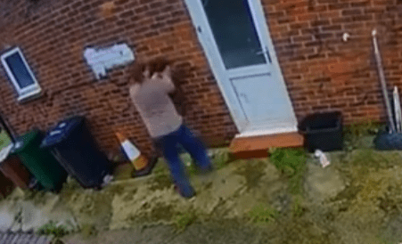 Brighton Dog Walker Admits Brutal Spaniel Attack