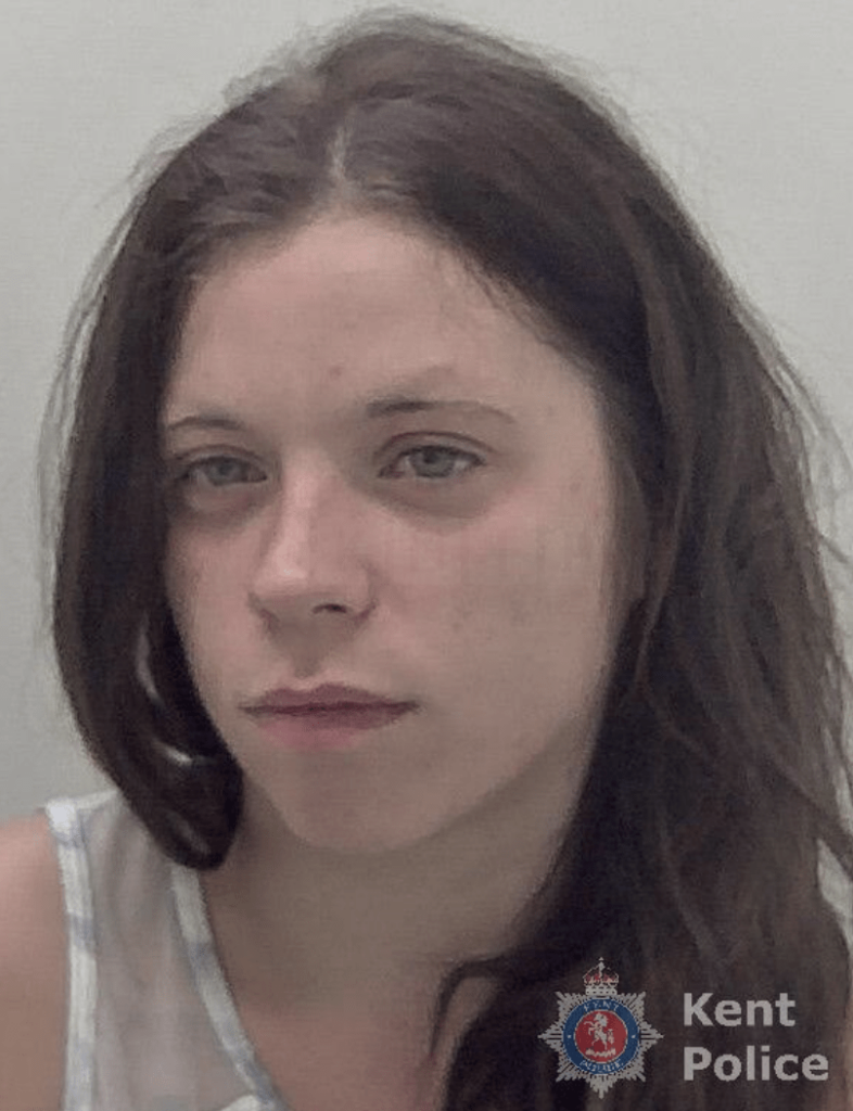 Motorist Jailed for Fatally Striking Pedestrian on Pelican Crossing