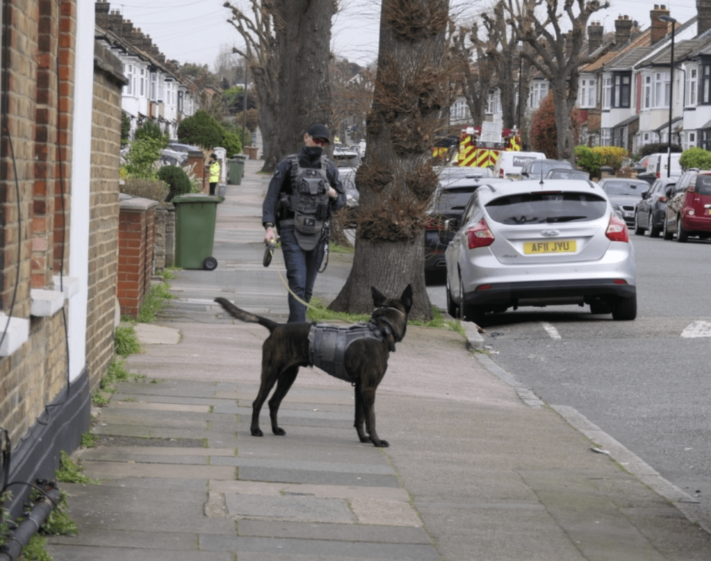 The incident in Daneby Road Catford  Concludes with Arrest and the suspect being bitten by Police Dog