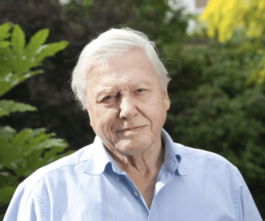 Sir David Attenborough Returns with New BBC Series “Mammals”