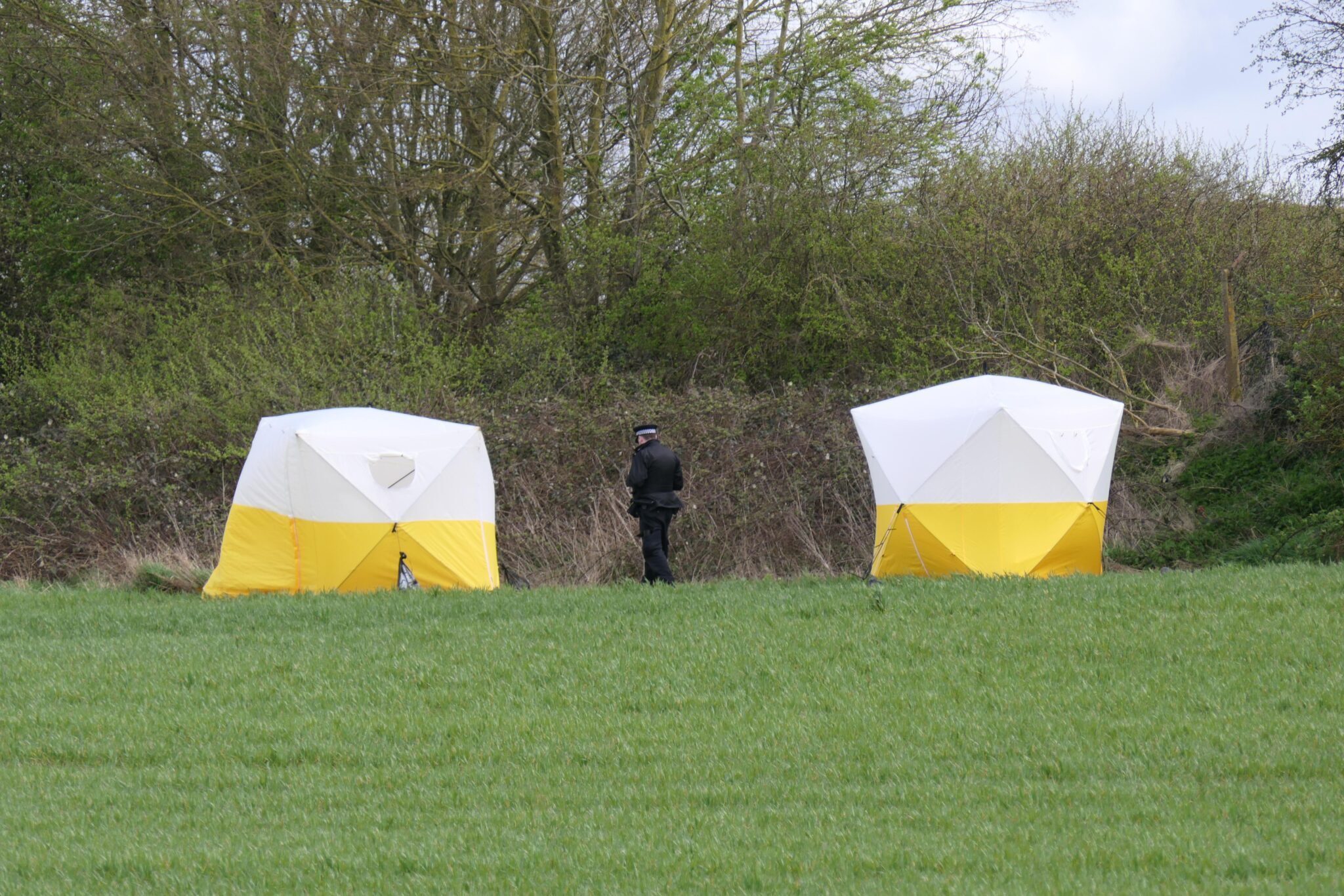 Police Lift Crime Scene After Discovery of Human Remains in Croydon Park