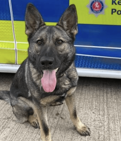 Special Constabulary Drone Team help to detain a suspect following an incident near Tonbridge