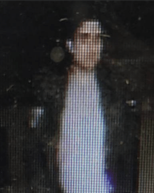 Police Seek Assistance in Dangerous Dog Incident Near Tesco Express Store