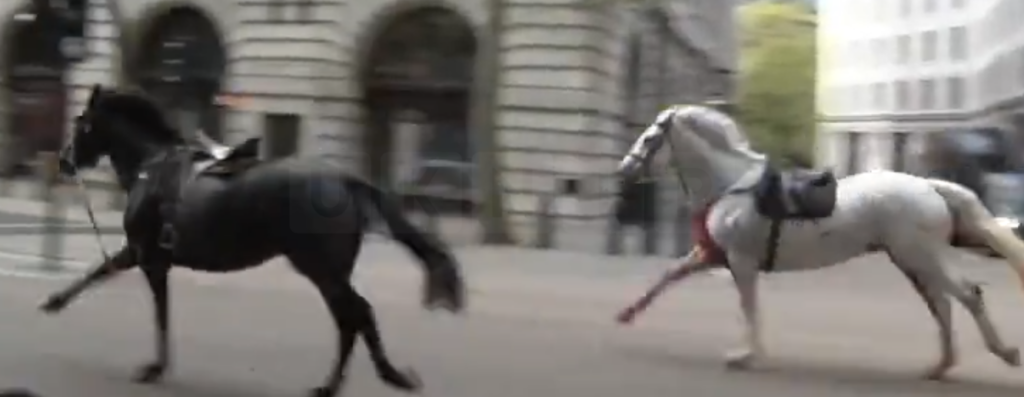 Escaped Household Cavalry Horses Cause Chaos in Central London: Five Injured in Rampage