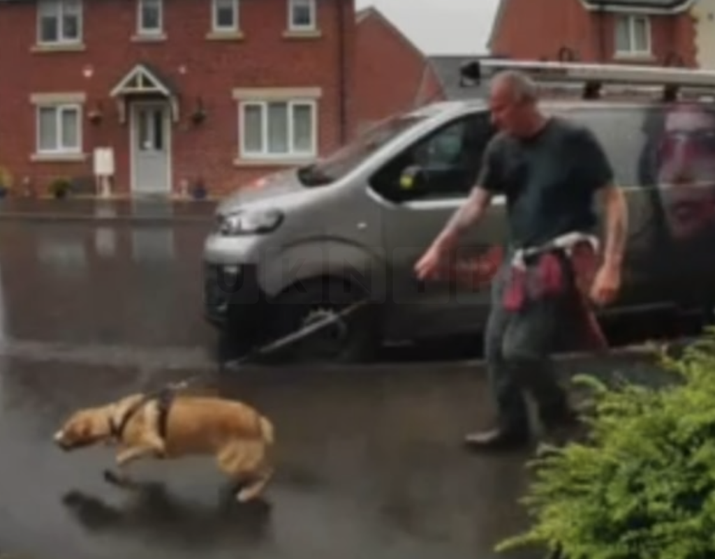 Appeal to Identify Man and Woman Following Dog Attack