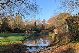 Wiltshire Police Appeals for Witnesses After Dog Attack in Queens Park, Swindon