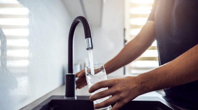 Two Hospitalised in parasite Outbreak in Brixham