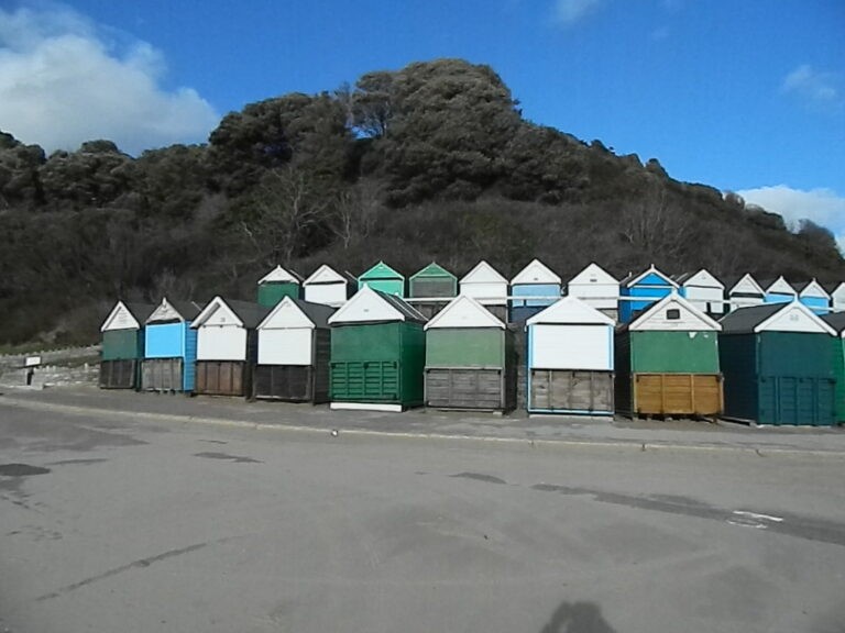 Murder investigation launched in Bournemouth