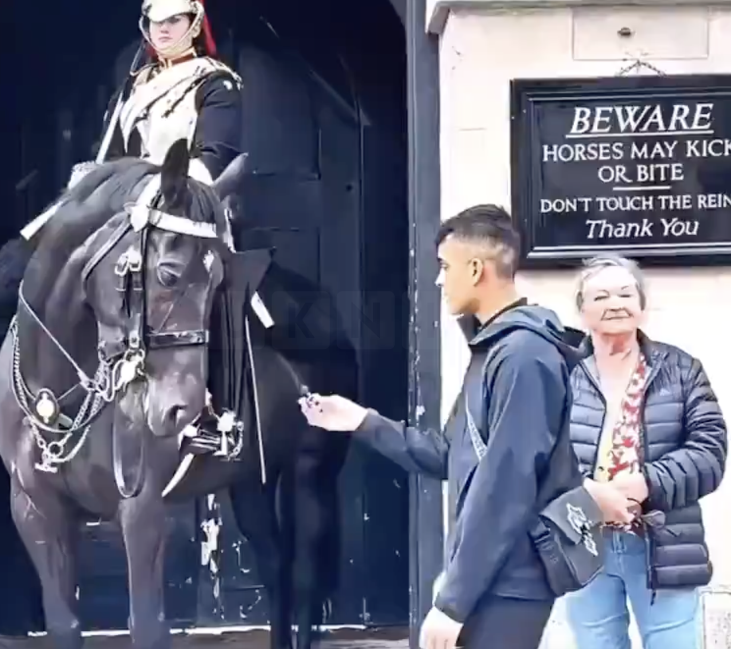 TikTok Prankster Arrested After Confronting King’s Guard Outside Buckingham Palace