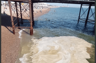Algal Bloom Turns Sussex Coastline Brown