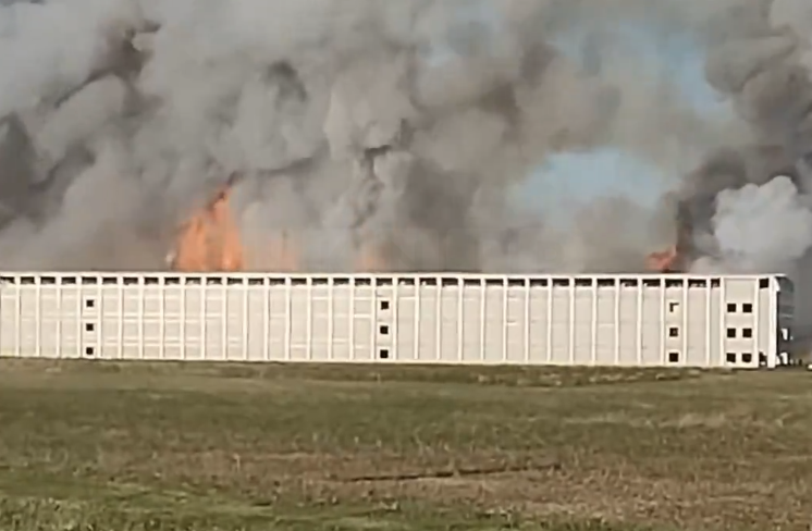 Massive Fire Engulfs Nation’s Largest Free-Range Egg Facility, Killing Over 1.2 Million Chickens