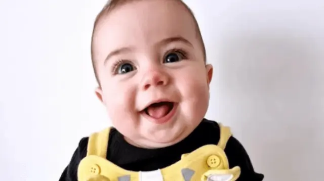 Investigation Concludes No Criminal Offences in Tragic Death of Baby Bitten by Family Dog