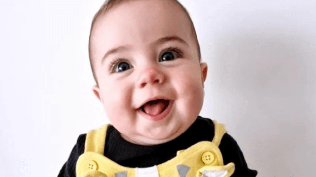 Investigation Concludes No Criminal Offences in Tragic Death of Baby Bitten by Family Dog