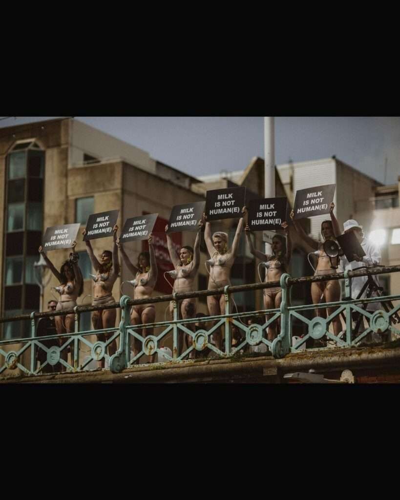 World Milk Day Sees Anti-Dairy Demonstration in Brighton