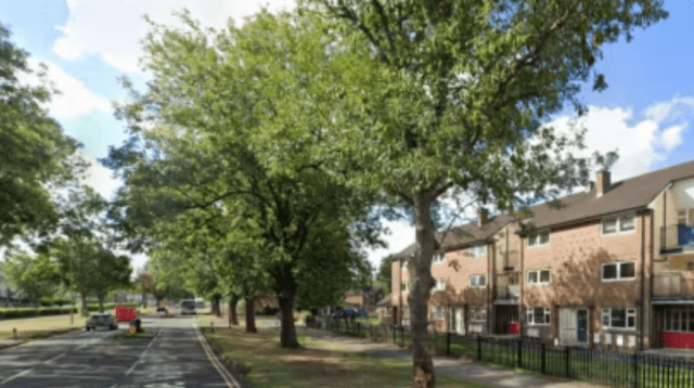 Murder Investigation Underway After Woman’s Death in Rotherham