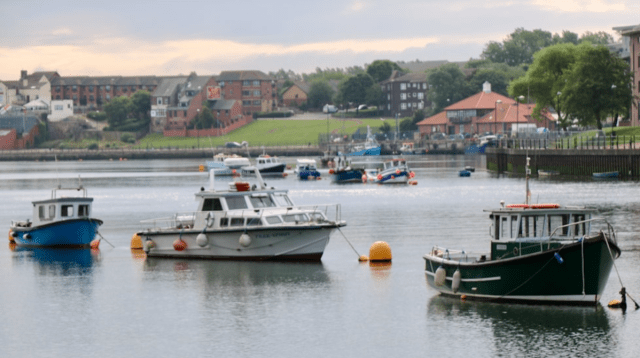 Why It’s So Difficult to Find an NHS Dentist in the UK?